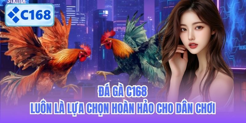 da-ga-c168-luon-la-lua-chon-hoan-hao-cho-dan-choi-2 Đá gà C168 luôn là lựa chọn hoàn hảo cho dân chơi